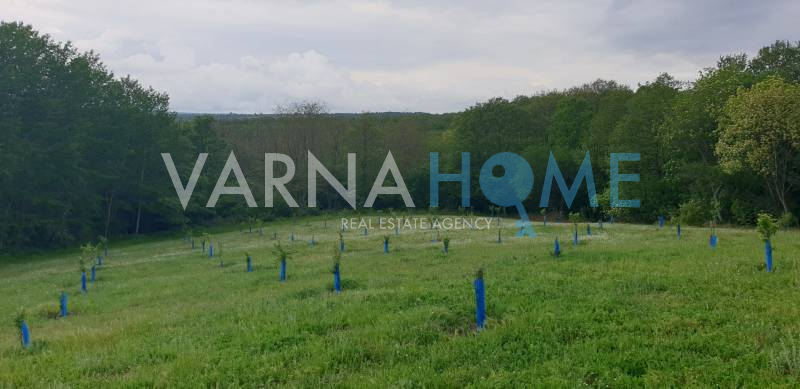 Овощна градина за продажба в с.…