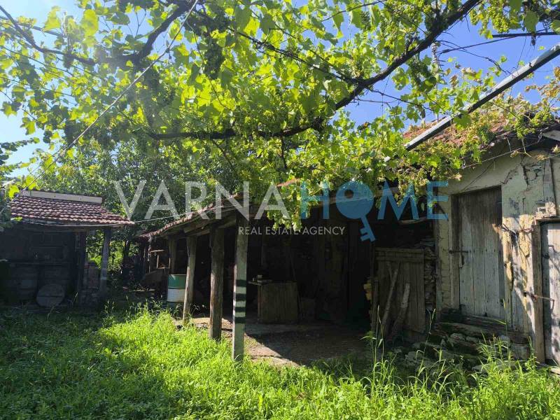 Gallery Image 222